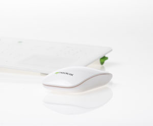 IC Mouse